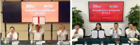 中國寶武，究竟儲備了多少鐵礦？